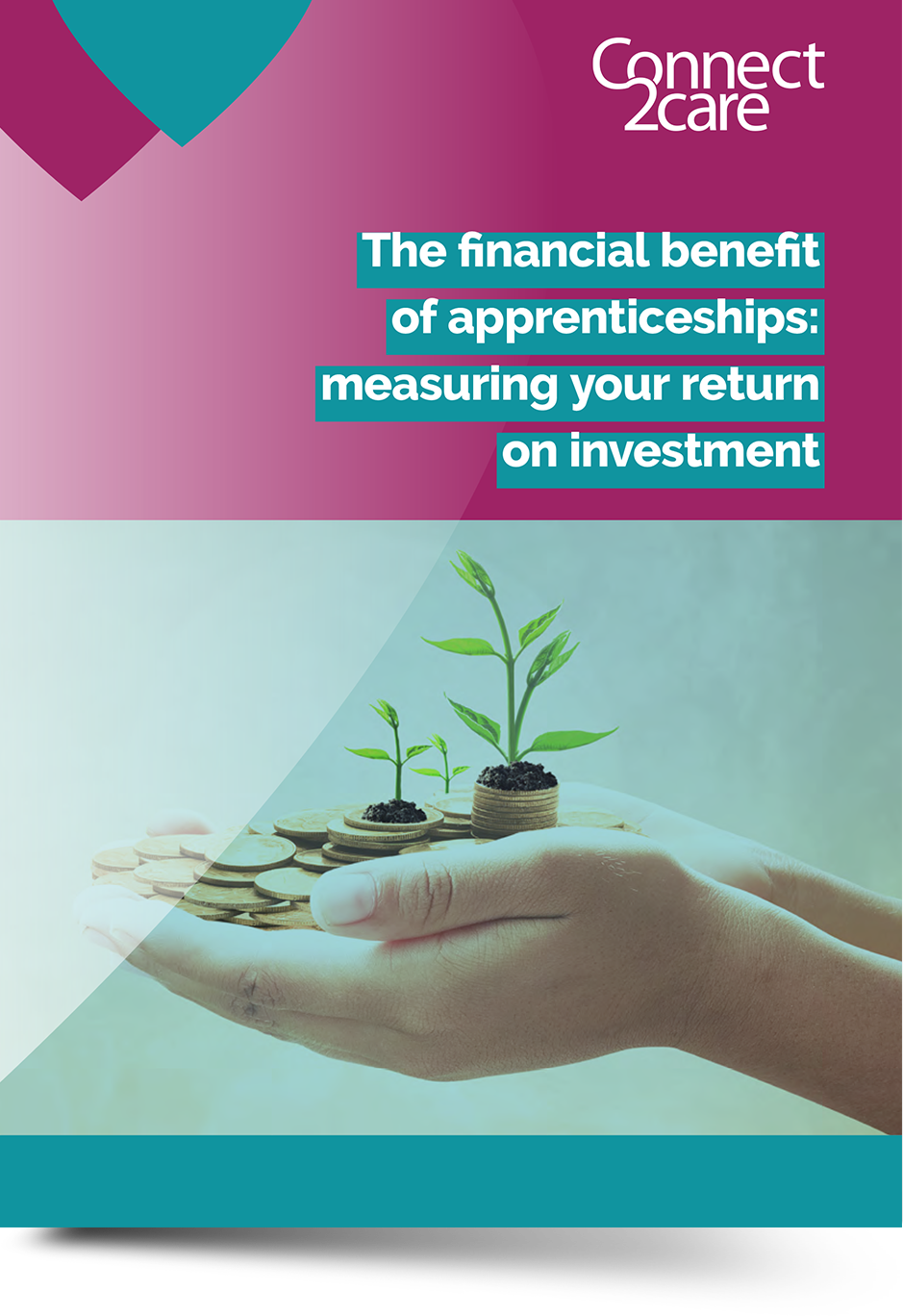 Front cover of return on investment guide